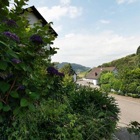 Ferienwohnung Wintereck Bühlertal Extérieur photo
