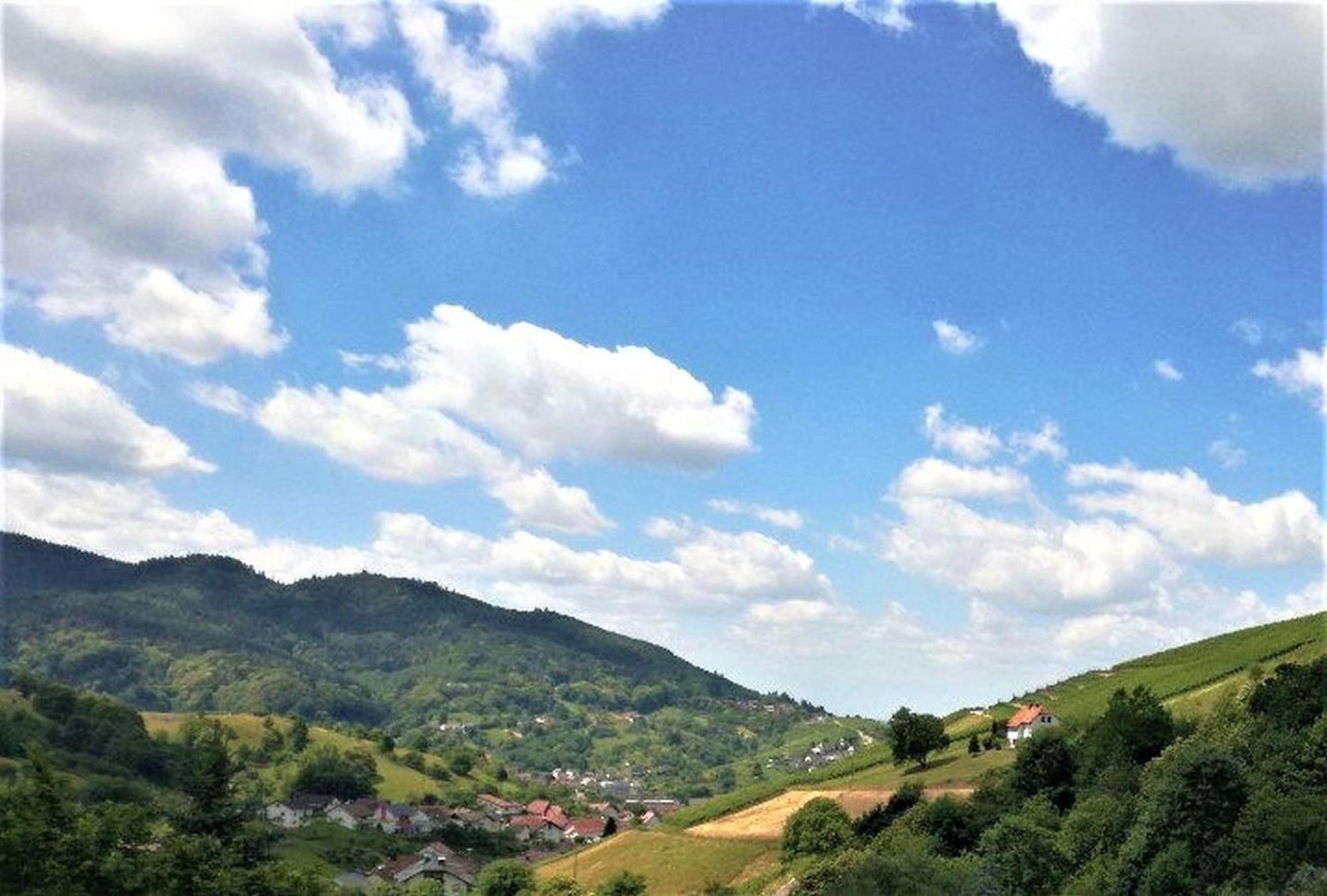 Ferienwohnung Wintereck Bühlertal Extérieur photo