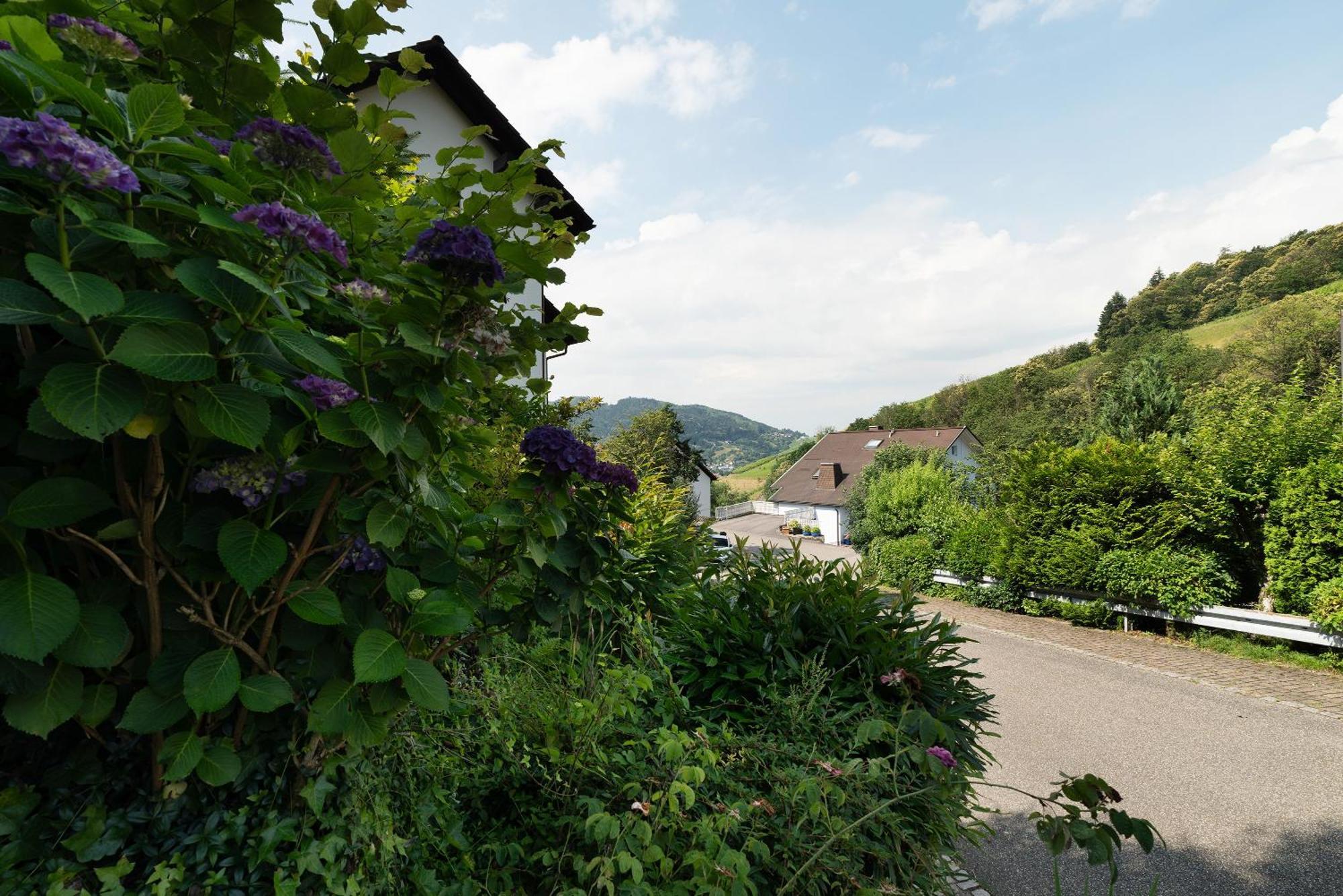 Ferienwohnung Wintereck Bühlertal Extérieur photo