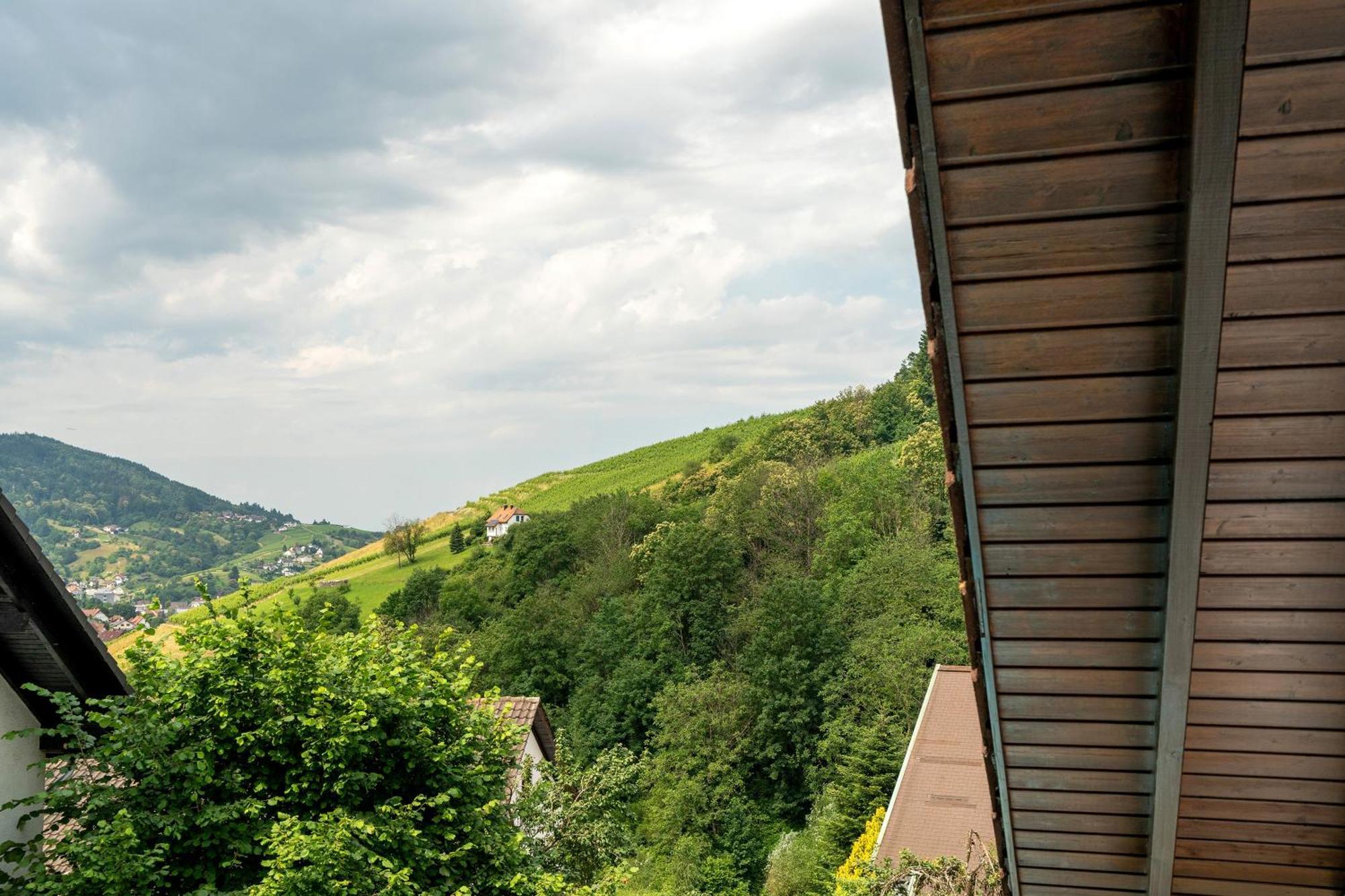 Ferienwohnung Wintereck Bühlertal Extérieur photo