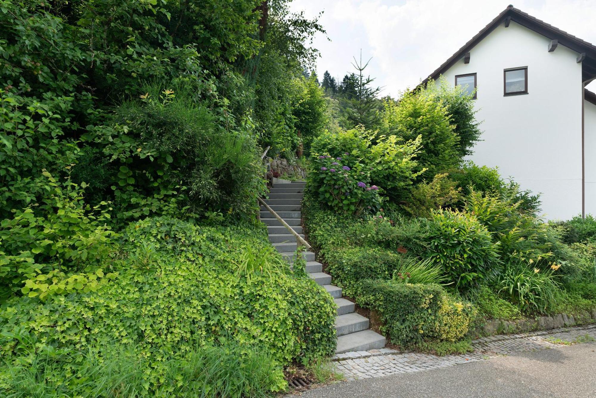 Ferienwohnung Wintereck Bühlertal Extérieur photo